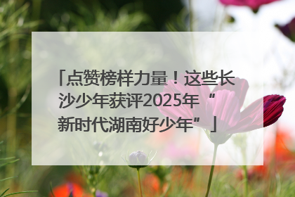 点赞榜样力量！这些长沙少年获评2025年“新时代湖南好少年”