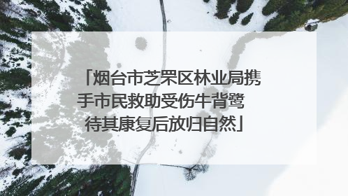 烟台市芝罘区林业局携手市民救助受伤牛背鹭 待其康复后放归自然