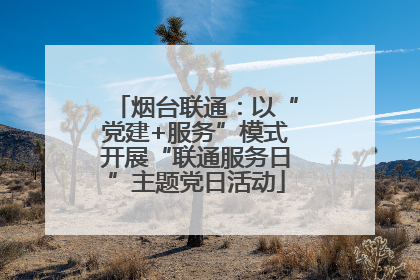 烟台联通：以“党建+服务”模式开展“联通服务日”主题党日活动