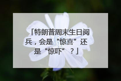 特朗普周末生日阅兵，会是“惊喜”还是“惊吓”？
