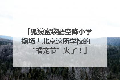狐獴蜜袋鼯空降小学操场！北京这所学校的“撸宠节”火了！