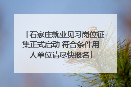 石家庄就业见习岗位征集正式启动 符合条件用人单位请尽快报名