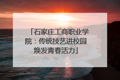 石家庄工商职业学院：传统技艺进校园焕发青春活力