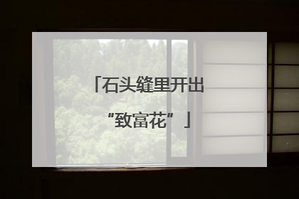 石头缝里开出“致富花”