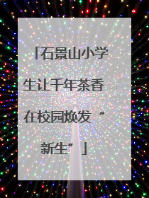 石景山小学生让千年茶香在校园焕发“新生”