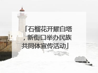 石榴花开耀白塔，新街口举办民族共同体宣传活动
