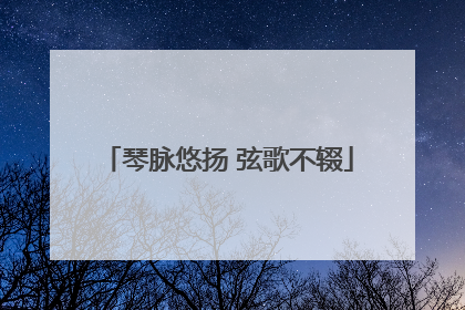琴脉悠扬 弦歌不辍