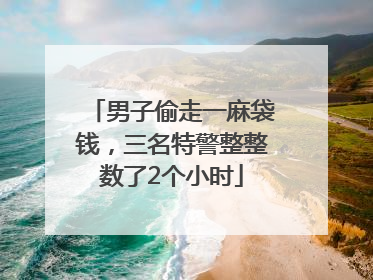 男子偷走一麻袋钱，三名特警整整数了2个小时