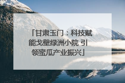 甘肃玉门：科技赋能戈壁绿洲小院 引领蜜瓜产业振兴