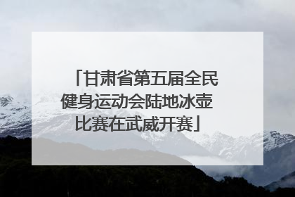 甘肃省第五届全民健身运动会陆地冰壶比赛在武威开赛