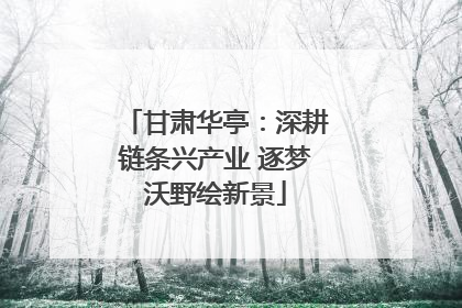 甘肃华亭：深耕链条兴产业 逐梦沃野绘新景