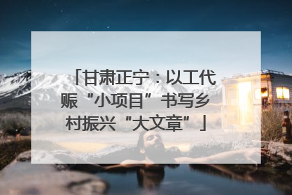 甘肃正宁：以工代赈“小项目”书写乡村振兴“大文章”