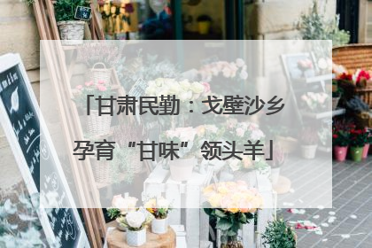 甘肃民勤：戈壁沙乡孕育“甘味”领头羊