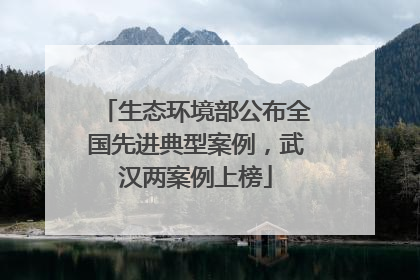 生态环境部公布全国先进典型案例，武汉两案例上榜