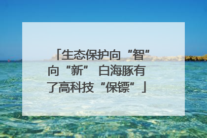 生态保护向“智”向“新” 白海豚有了高科技“保镖”