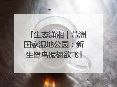 生态潇湘｜萱洲国家湿地公园：新生鹭鸟振翅欲飞