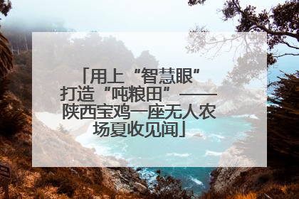 用上“智慧眼” 打造“吨粮田”——陕西宝鸡一座无人农场夏收见闻