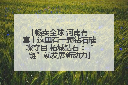 畅卖全球 河南有一套丨这里有一颗钻石璀璨夺目 柘城钻石：“链”就发展新动力