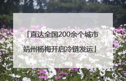 直达全国200余个城市 靖州杨梅开启冷链发运