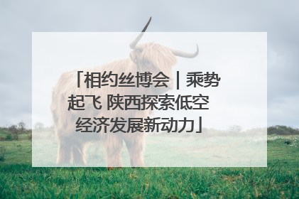 相约丝博会｜乘势起飞 陕西探索低空经济发展新动力