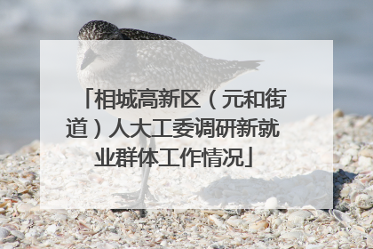 相城高新区（元和街道）人大工委调研新就业群体工作情况