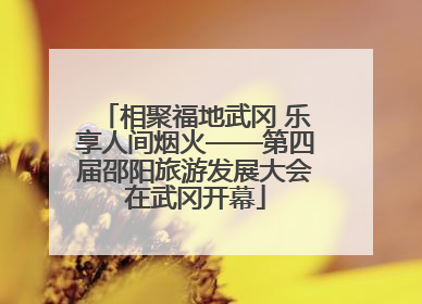 相聚福地武冈 乐享人间烟火——第四届邵阳旅游发展大会在武冈开幕
