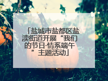 盐城市盐都区盐渎街道开展“我们的节日·情系端午”主题活动