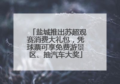 盐城推出苏超观赛消费大礼包，凭球票可享免费游景区、抽汽车大奖