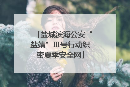 盐城滨海公安“盐靖”Ⅲ号行动织密夏季安全网
