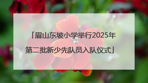 眉山东坡小学举行2025年第二批新少先队员入队仪式