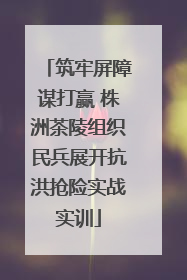 筑牢屏障谋打赢 株洲茶陵组织民兵展开抗洪抢险实战实训