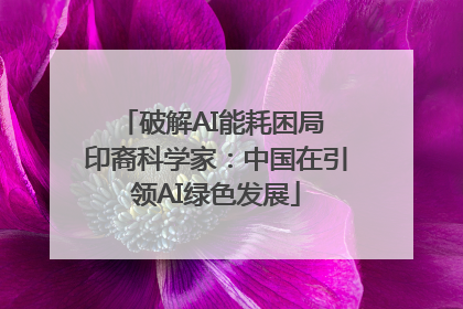 破解AI能耗困局 印裔科学家：中国在引领AI绿色发展