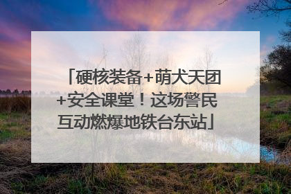 硬核装备+萌犬天团+安全课堂！这场警民互动燃爆地铁台东站