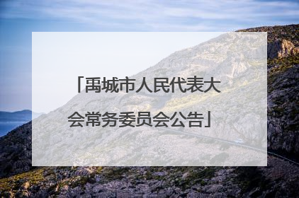 禹城市人民代表大会常务委员会公告