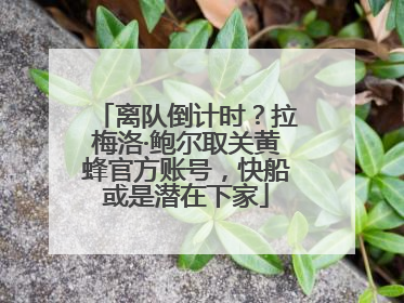 离队倒计时？拉梅洛·鲍尔取关黄蜂官方账号，快船或是潜在下家
