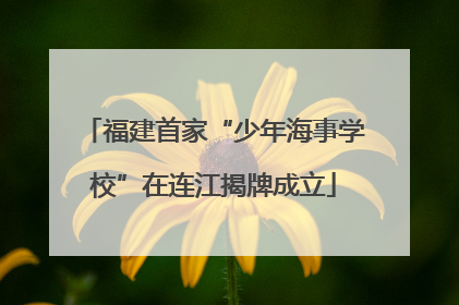 福建首家“少年海事学校”在连江揭牌成立