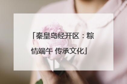 秦皇岛经开区：粽情端午 传承文化