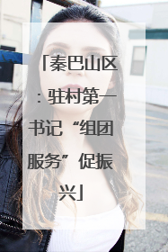 秦巴山区：驻村第一书记“组团服务”促振兴