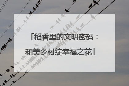 稻香里的文明密码：和美乡村绽幸福之花