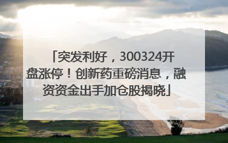 突发利好，300324开盘涨停！创新药重磅消息，融资资金出手加仓股揭晓