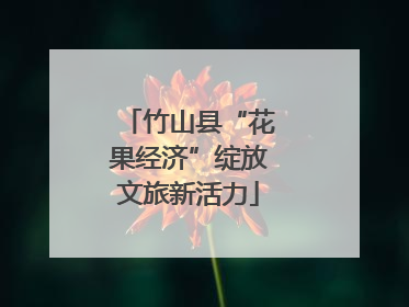 竹山县“花果经济”绽放文旅新活力