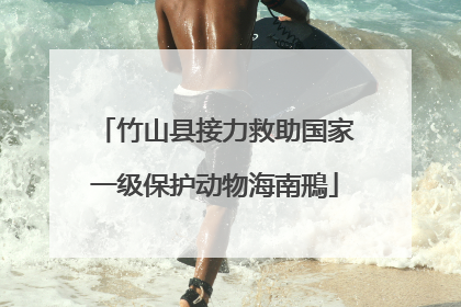 竹山县接力救助国家一级保护动物海南鳽