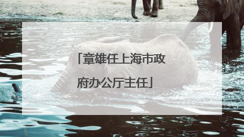 章雄任上海市政府办公厅主任