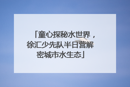 童心探秘水世界，徐汇少先队半日营解密城市水生态