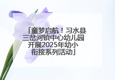 童梦启航！习水县三岔河镇中心幼儿园开展2025年幼小衔接系列活动