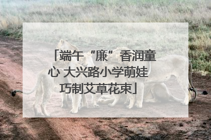 端午“廉”香润童心 大兴路小学萌娃巧制艾草花束