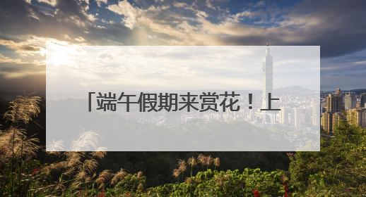 端午假期来赏花！上海滨江森林公园绣球花展5月31日开幕