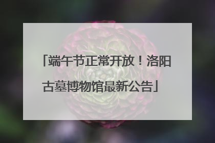 端午节正常开放！洛阳古墓博物馆最新公告