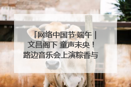 网络中国节·端午｜文昌阁下 童声未央！路边音乐会上演粽香与童真的诗意交响