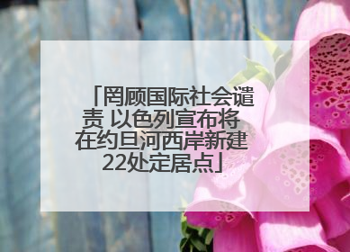 罔顾国际社会谴责 以色列宣布将在约旦河西岸新建22处定居点